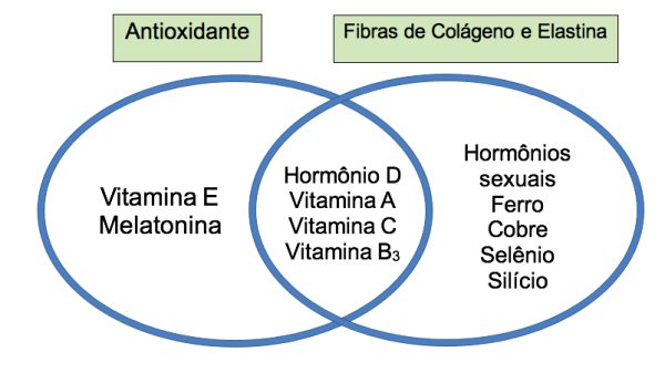 Figura 1