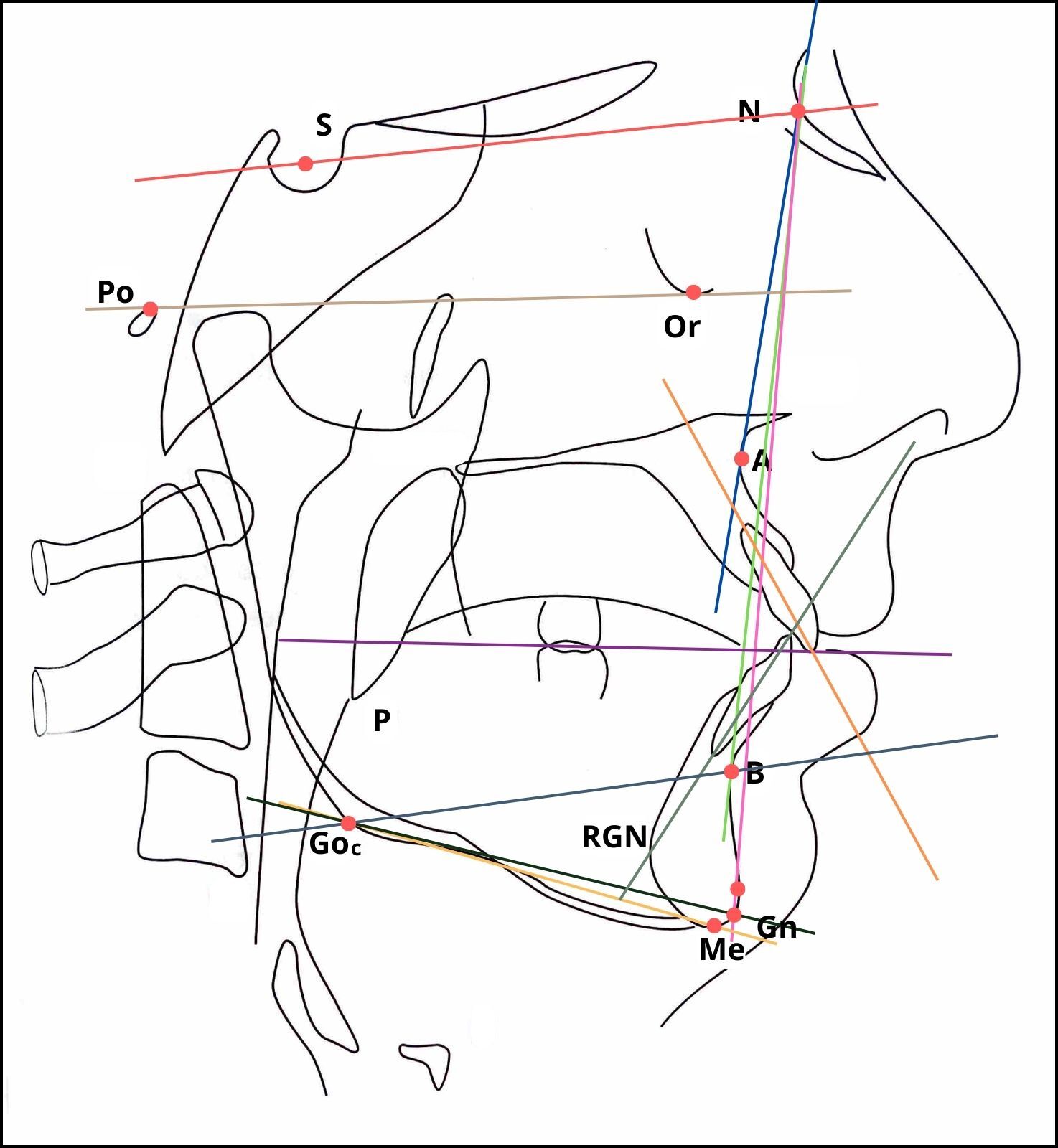 2 - Figura 1
